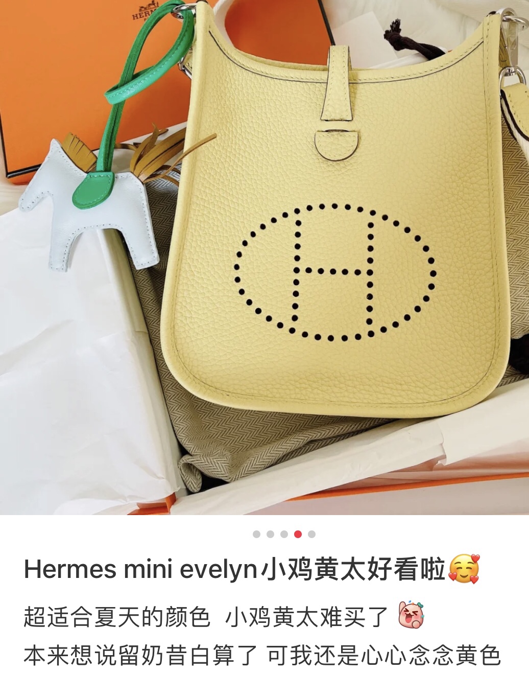 Hermes Evelyn Bags